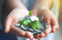 EU Climate Risk Data Quality Keeps Improving, Says EBA